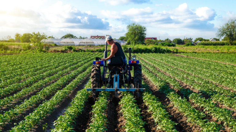Contabilidade Agrícola para Agronegócio